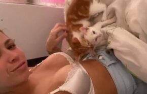 Polêmico vídeo suposta zoofilia com gatos lambendo peito da Mc Pipokinha